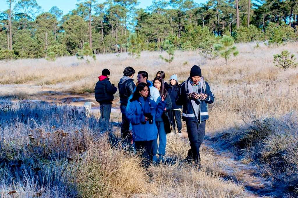 Estudiantes en el bosque