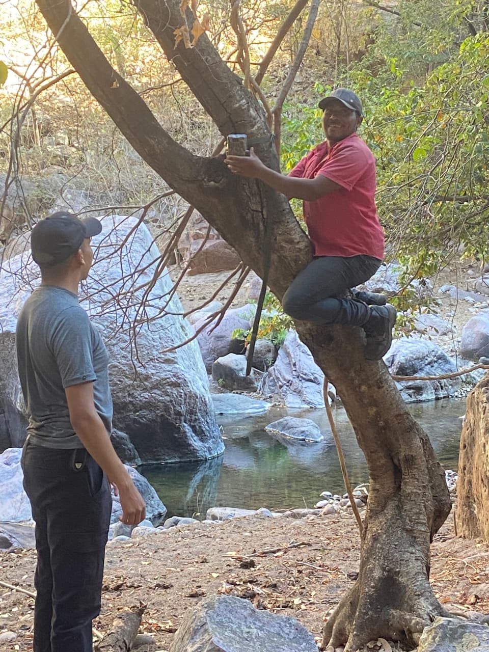 Instalación de cámara trampa