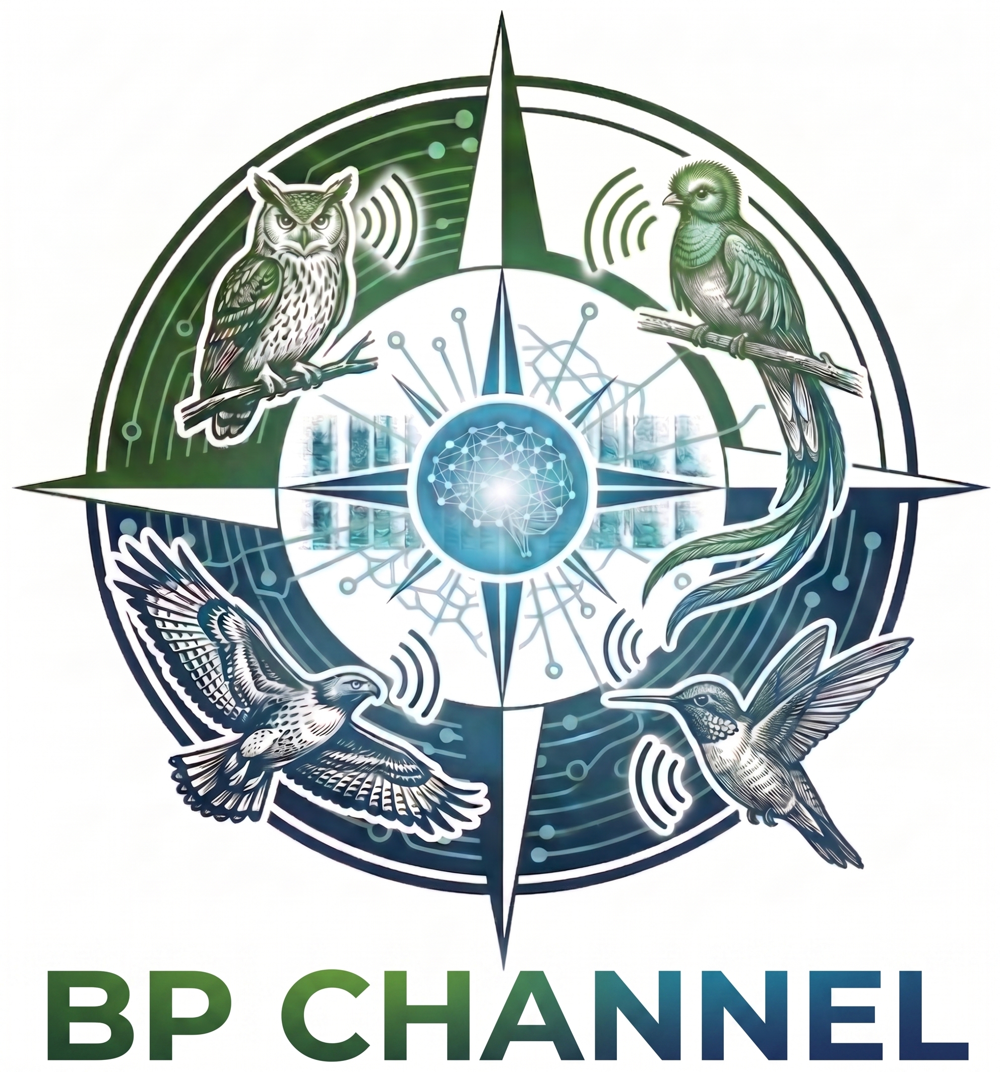 Logo de BP CHANNEL - Software de Bioacústica con IA de vanguardia