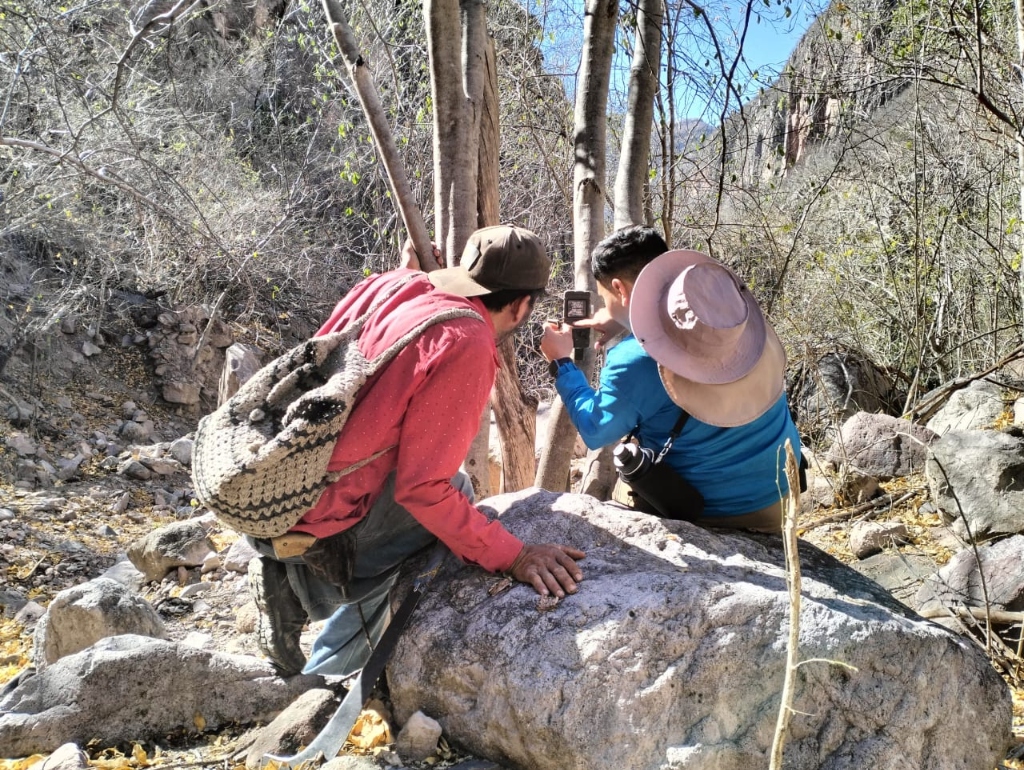 Ingeniería de campo y despliegue de estaciones de monitoreo biológico - Biol. Erick Elio Chavez Gurrola